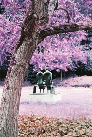 A dark bronze sculpture of two seated figures on a plinth, framed by a tree trunk and purple foliage.