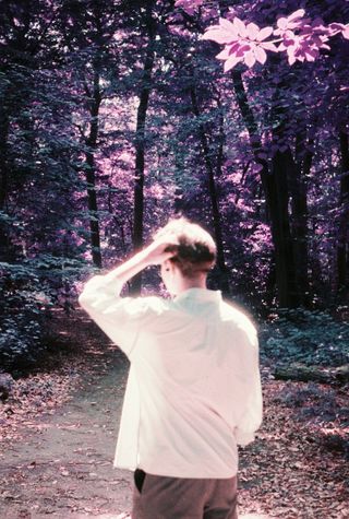 A person in a white shirt seen from behind on a forest path, hand on their head, among purple-tinted trees.