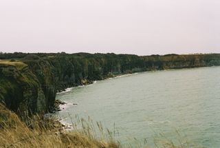 Green cliffs curving along a calm grey sea under a pale sky, dry grass in the foreground.