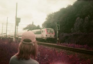 A person in a cap seen from behind, watching a passenger train go by along a railway lined with pink-tinted plants.