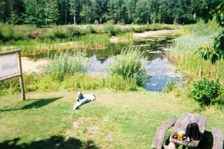 Someone lying on a sunny lawn next to a pond with reeds, a picnic table with drinks in the corner.