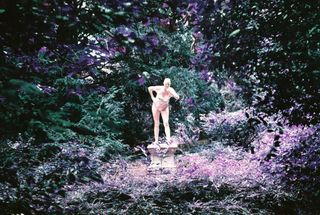A small white statue of a figure on a pedestal, half hidden in dense purple and green bushes.